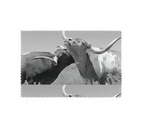 WHJSHOP Animal Cow Picture Prints Quality Table Layers - Heat Resistant Place Mat Covers, Durable 6-Piece Set with Printed Designs