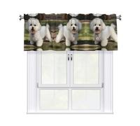 WHJSHOP Bichon Frise Dog Printing Short Curtains with Valance Rod 54x18in, Light Filtering, Easy Installation for Kitchen, Bathroom, Laundry Room, Studio