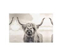 WHJSHOP Funny Highland Cow Prints Quality Table Layers - Heat Resistant Place Mat Covers, Durable 6-Piece Set with Printed Designs