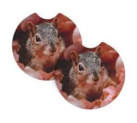 Whjshop Little Squirrel in The Petals Pattern Car Interior Cup Holder Pad 2 Pc Waterproof & Quick for Cars, Trucks, Suvs, and Ships