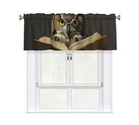 WHJSHOP Owl Reading a Book Printing Short Curtains with Valance Rod 54x18in Home Decor for Kitchen Bathroom Laundry Room Studio Upper Window