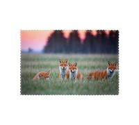 WHJSHOP Prairie Fox Prints Placemats Set of 6 12x18in - Transform Your Table into a Cozy Haven for Memorable Meals