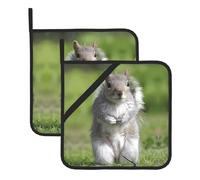 WHJSHOP Squirrel Prints Square Pot Holders - Waterproof Kitchen Covers for Hot Dishes & Pans, Durable Heat Resistant Pads with Hanging Loop - 2 Pack (1 with Pocket)