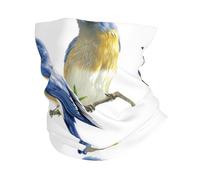 WHJSHOP two birds Prints Multifunctional Sports Headband - Seamless Workout Throw, Neck Gaiter for Hiking, Cycling & Beach Days