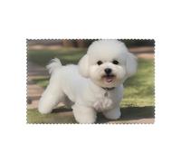 WHJSSF Bichon Frise Dog Pattern Placemats for Dining Table Set of 6 for Homes, and Banquets Easy to Clean at Room Temperature for Long-Lasting Use