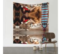WHJSSF Cute Corgi Prints Original Wall Tapestry 60x51in - Boho Throw Blanket for Bedroom Decor, Dorm Room, Beach & Picnic