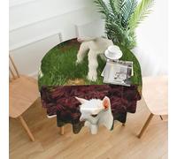 WHJSSF Cute lamb Prints Round Decorative Table Throw 60 Inch - Waterproof Table Cover for Dining, Coffee Tables, and Outdoor Events