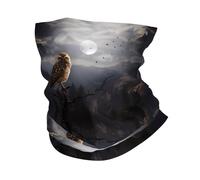 WHJSSF Evil Owl Prints Performance Multifunctional Sweatband Cool Headwear For Great Outdoor Activities