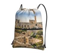 WHJSSF Israel At The Tower Of David Prints Drawstring Zipper Backpack - Lightweight Water-Resistant Sport Gym Travel Bag with Front Pocket & Internal Organizer