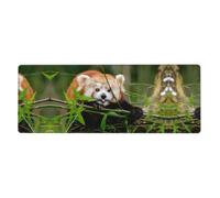 WHJSSF Little Red Panda Prints Extended Mouse Pad 12x31.5in