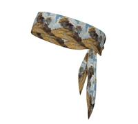 WHJSSF Pavilion on the hill Pattern Sports Double-Sided Headscarf for Women and Men Adjustable for All Head Circumferences