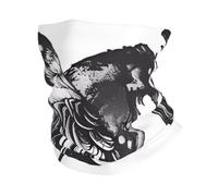 WHJSSF Ravens Prints Multifunctional Sport Headband - Seamless Stretch Neck Gaiter for Running, Hiking, Cycling & Travel - Lightweight, Breathable & Quick-Drying