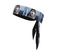 WHJSSF Siberian Husky Picture Sports Double-Sided Headscarf Quick Drying, Moisture Wicking for Women, Girls, and Men