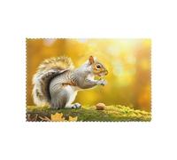 WHJSSF Squirrel eating walnut Printing Placemats for Dining Table Set of 6 for Hotels, Homes, and Banquets as Decorative Table Decorations, Beautiful durable
