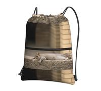 WHJSSF Squirrel Just Laying Prints Drawstring Zipper Backpack - Lightweight Water-Resistant Sport Gym Bag with Front Pocket & Internal Organizer - Perfect for Travel, Yoga & Hiking