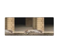 WHJSSF Squirrel Just Laying Prints Extended Mouse Pad 12x31.5in