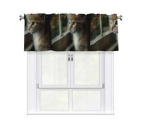 WHJSSF The Thinker at the Window Printing curtain with short pole, 54x18in for kitchen, bathroom, laundry room, and studio windows, featuring a light filtering