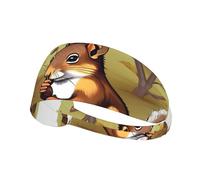 WHJWXC Nut-Eating Squirrel Printing Elastic Exercise Headband Head Tie,Headband for Men and Women,Hair Band for Yoga Fitness