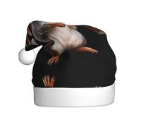 WHJWZY Christmas hat for Adult - Festive Accessory | Halloween, Annual Ceremonies, Holiday Parties Squirrel wearing glasses Pattern