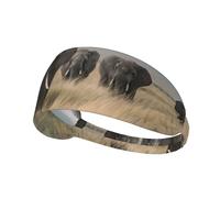 WHJWZY Elastic Exercise Headband - Soft and Breathable Headband for Running, Cycling, Yoga, and More African Elephants in The Grasslands Printed