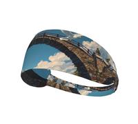 WHJWZY Elastic Exercise Headband - Soft and Breathable Headband for Running, Cycling, Yoga, and More Seagulls on The Bridge Printed