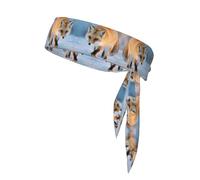WHJWZY Sports Head Tie - Comfortable and Stylish Headband for Exercise and Sports Activities The Fox Who Stepped on Snow Pattern