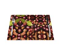 WHJWZY Woven Placemat 1 18x12 in Heat Resistant Non Slip Washable Table Mat Fresh Chestnuts Printing