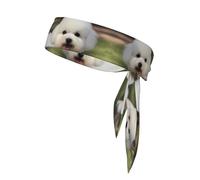 WHJYYXDE Bichon Frise Dog Prints Sports Head Tie for Men & Women Moisture Wicking Athletic for Gym,Yoga, Football