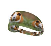 WHJYYXDE Elastic Exercise Headband - Soft, Breathable, and Quick-Drying Athletic Hairband for Men, Women Guinea Pigs Pattern