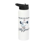 Who are You Calling Silly Goose Stainless Steel Insulated Water Bottle