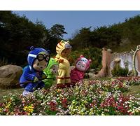 Who Is in the Flower Garden