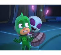 Who Let the Moths In?