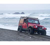 Who Won? Car vs Wild