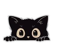 Whoasyst Impermeable Vehicle Label with Black Puss Pattern Scratch Security Record Easy Removal for Automobiles Motorcycles Velocipedes Impermeable PVC Vehicle