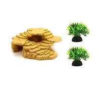 Whoasyst Practical Turtle Climbing Area and Relaxation Zone Designed for Stability in Wet Conditions Multi Turtle Basker