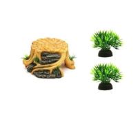 Whoasyst Practical Turtle Climbing Area and Relaxation Zone Designed for Stability in Wet Conditions Multi Turtle Basker