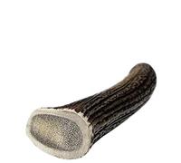 Whole Antler Dog Chew - Durable, Long-Lasting, Odourless, Natural Chew Toy for Strong Chewers - Hard-Wearing, Mineral-Rich, All-Natural, Low-Odour, Safe & Healthy Treat to Support Teeth &Gums-S-Size