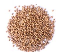 Whole Coriander Seeds (250g)