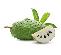 Whole Fresh Soursop | Exotic Tropical Fruit | Sweet, Juicy & Aromatic | Ideal for Smoothies, Desserts & Healthy Snacking | Fresh & Chilled Delivery