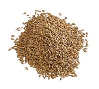 Whole Grain Barley for Cooking & Milling - UK Regeneratively Grown | Nutritious Whole Barley for Flour, Baking & Soups | From Brow Farm, Lancashire (5kg)
