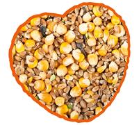 Whole grain corn for hens Duvoplus