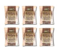 Whole Grain Granola Bites Gluten-free Vegan Healthy Snack Breakfast Snacks 38 gram 1.34 ounces 6 Pack (Cocoa - Hazelnut)