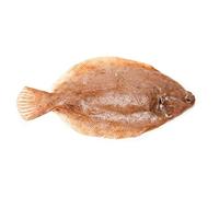 Whole Lemon Sole 1kg | Fresh Wild-Caught Fish | Premium Quality Seafood for Grilling, Baking & Pan-Frying | Sustainably Sourced Whole Fish