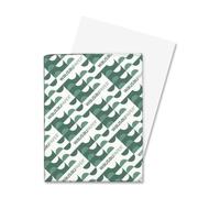 Wholesale CASE of 15 - Wausau Exact 110lb Index Paper-Exact Index Paper,8-1/2"x11",110lb.,94 Bright,250SH/PK,White