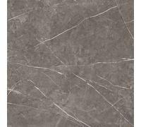 Wholesale Domestic Theatre Polished Porcelain Wall and Floor Tile | Stone | 60cm x 60cm
