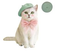 Wholesale Fashion Four Seasons Funny Customized Wool Pet Beret Hat with Accessories (Light Green)