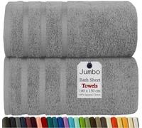 Wholesale Trade Dealz Pack of 2 & 4 Extra Large Bath Sheets 100 x 150 cm 100% Egyptian Cotton Super Soft, Quick-Dry High Absorbent Hotel Quality XL Jumbo Bath Towels (2, Silver)