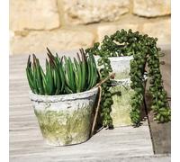 Wholesome Home Rustic Stone Plant Pot, Weathered White Terracotta, Various Sizes, Garden Container (Small Pack of 4 (8x6cm))