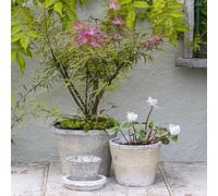 Wholesome Home Rustic Stone Plant Pot, Weathered White Terracotta, Various Sizes, Garden Container (XX Large Pack of 2 (20x15cm))