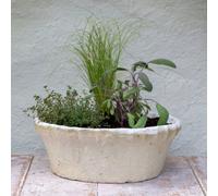 Wholesome Home Vintage White Stone Terracotta Bulb Planter (Large)
